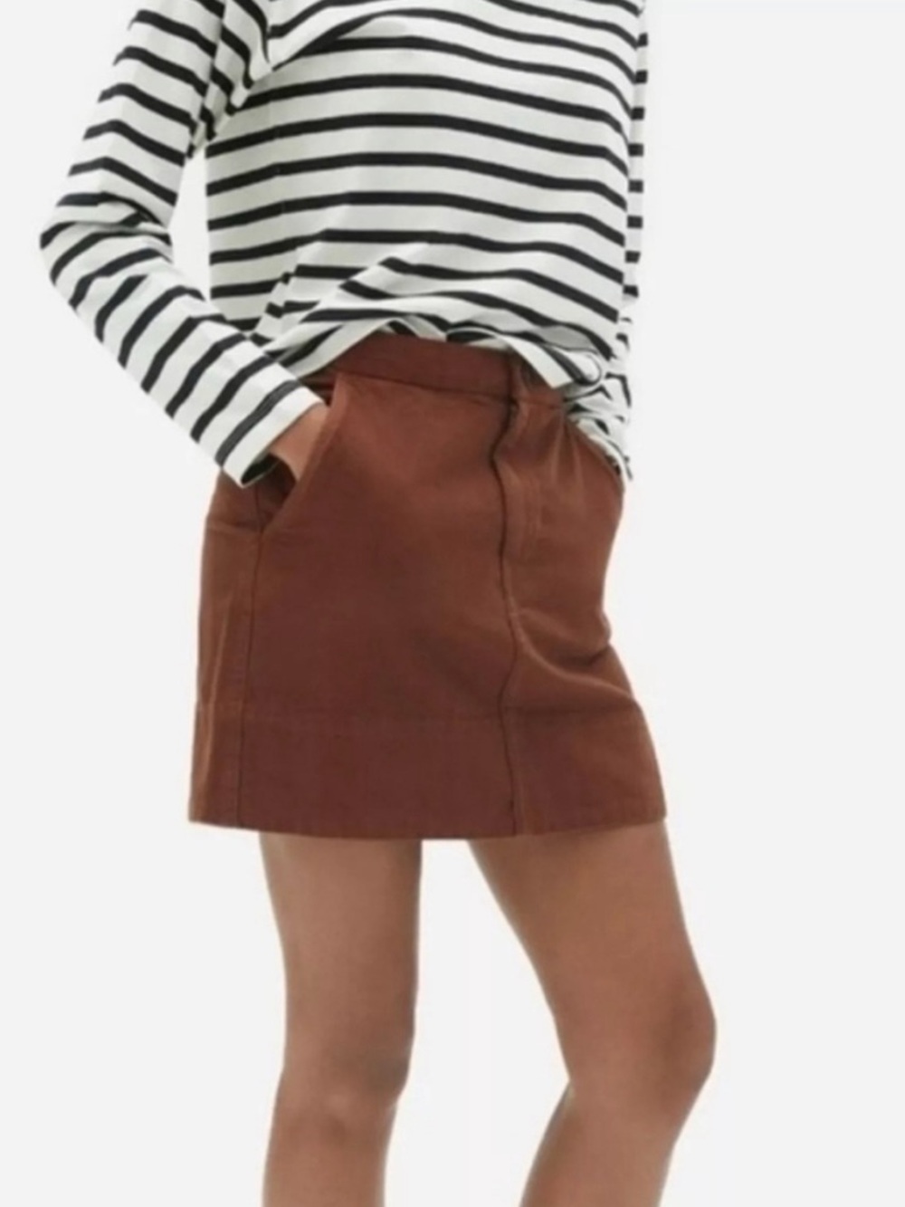 Everlane Rust Brown Mini Skirt